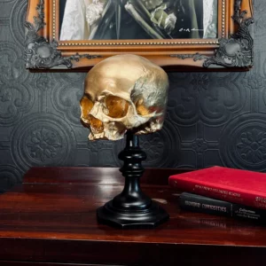 <b>THE BLACKENED TEETH</b> - AUREATE - SOCLE CRÂNE DORÉ