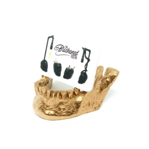 <b>THE BLACKENED TEETH</b> - MACHOIRE PORTE-CARTES