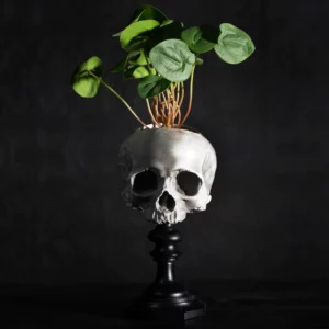 <b>THE BLACKENED TEETH</b> - SOCLE CRÂNE DE J.DOE - VERSION POT